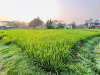 2 Katha Land/২ কাঠা জমি